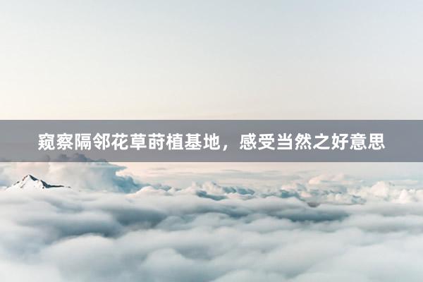 窥察隔邻花草莳植基地，感受当然之好意思