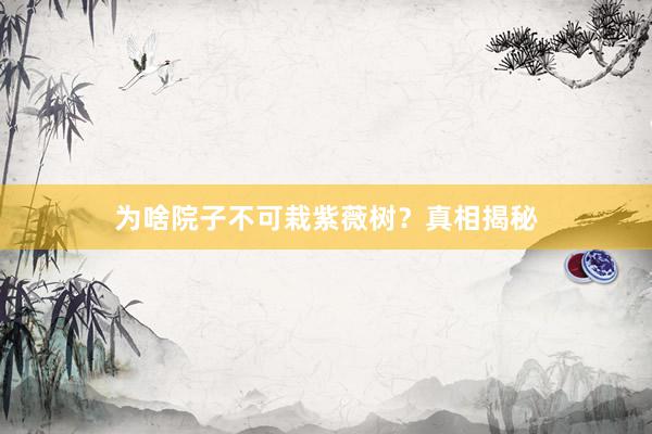 为啥院子不可栽紫薇树？真相揭秘