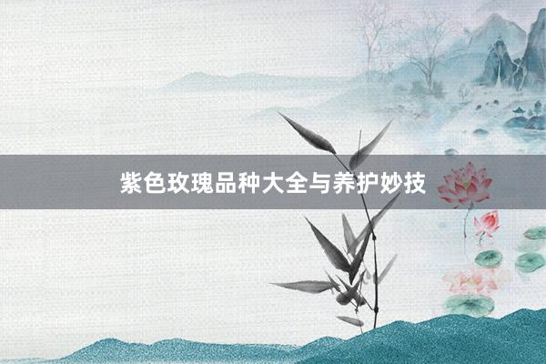 紫色玫瑰品种大全与养护妙技