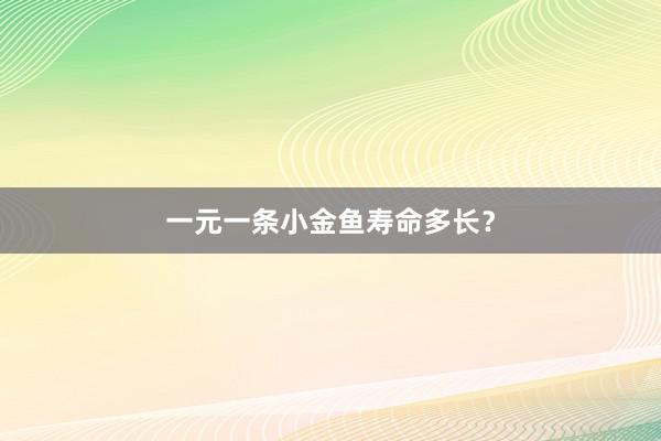 一元一条小金鱼寿命多长？